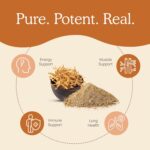 Real Mushrooms Cordyceps Powder - Performance Mushroom Extract with Organic Militaris for Energy Immune Support Vegan Supplement, Boost Non-GMO, 60 Servings - Image 4