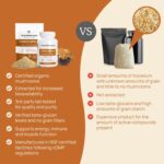 Real Mushrooms Cordyceps Powder - Performance Mushroom Extract with Organic Militaris for Energy Immune Support Vegan Supplement, Boost Non-GMO, 60 Servings - Image 5