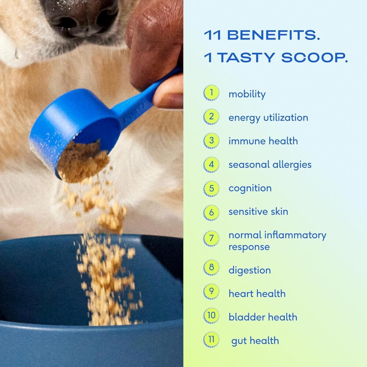 Native Pet Dog Vitamins & Supplements - 30 Scoops - 11-in-1 Multivitamin for Dogs with 21 Supplements & Vitamins – Nutritious Food Topper Powder - Pet Health & Puppy Essentials - Image 2