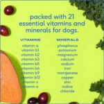Native Pet Dog Vitamins & Supplements - 30 Scoops - 11-in-1 Multivitamin for Dogs with 21 Supplements & Vitamins – Nutritious Food Topper Powder - Pet Health & Puppy Essentials - Image 3