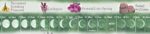 Lunar Calendar 2025, Moons, Blooms - Image 2