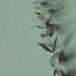 The Growth Journal