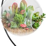 Air Plant Terrarium Kit with Stand, Hanging Glass VaseTerrarium Globe with Metal Ornament Display Stand Tabletop Glass Terrarium for Air Plants Succulent Planters Small Plants