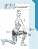 The Strength Training Anatomy Workout: Starting Strength with Bodyweight Training and Minimal Equipment - Image 4