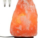 7 Inch Himalayan Salt Lamp with Dimmer Cord - Night Light Natural Crystal Rock Classic Wood Base Authentic from Pakistan