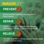 MagniLife Arnica Pain Relief Gel, Fast Acting Neck and Back Pain Relief, with Eucalyptus and Emu Oil to Soothe Soreness, Inflammation and Discomfort - 4oz - Image 2