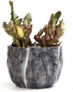 SE SUN-E Sun-E Modern Style Marbling Ceramic Flower Pot Succulent/Cactus Planter Pots Container Bonsai Planters with Hole 3.35 Inch Gift Idea(4 in Set) Plants Not Included - Image 4