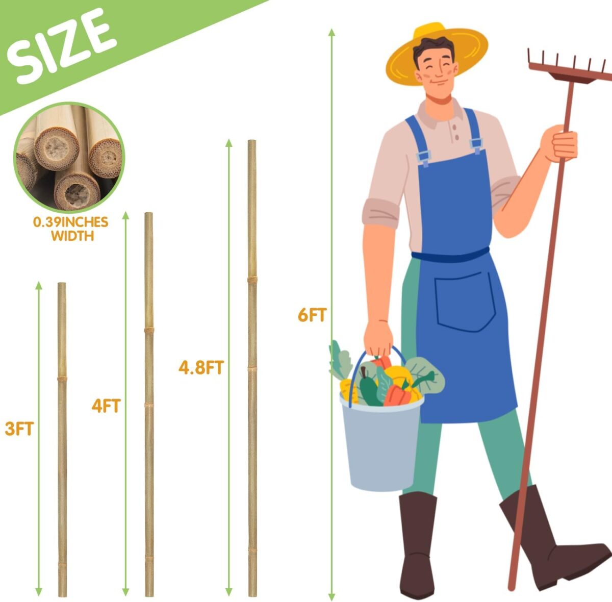 Plant Stakes,4FT Longer Sturdy Natural Bamboo Garden Stakes,GAGINANG 25Pcs Bamboo Sticks Trellis Support for Tomato, Vegetables Beans Trees Climbing Plants - Image 2