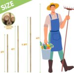Plant Stakes,4FT Longer Sturdy Natural Bamboo Garden Stakes,GAGINANG 25Pcs Bamboo Sticks Trellis Support for Tomato, Vegetables Beans Trees Climbing Plants - Image 2