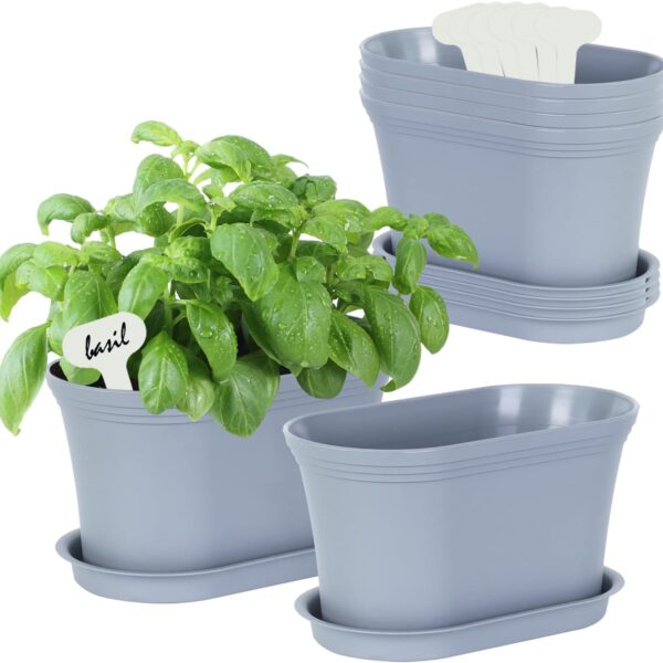 Windowsill Herb Garden Planter with Tray, Set of 6 Grey Oval Farmhouse Garden Pots for Indoor/Outdoor Plants (No Seeds)