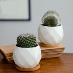 Jucoan 6 Pack Ceramic Succulent Planter Pot with Bamboo Tray, 4 Inches Small White Diamond Shaped Cactus Herb Flowers Planter with Drainage Hole - Image 5