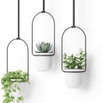 Umbra Triflora Hanging Planter for Window, Indoor Herb Garden, Set of 3, White/Black