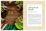The Modern Herbal Dispensatory: A Medicine-Making Guide - Image 3