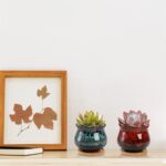 TOPZEA Set of 6 Succulent Plant Pots, 4 Inch Glazed Ceramic Cute Plant Pots with Drainage and Saucer, Mini Bonsai Planter Small Cactus Flower Pots for Indoor Outdoor Use - Image 7