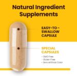 JungKwanJang Immune Boost, Adaptogen Supplement with American Ginseng and Korean Red Ginseng Duo for Immunity, Energy, Fights Fatigue, All-Natural, Stress Support for Men and Women - Image 7
