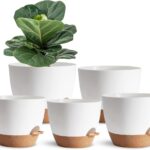 5Pack Self Watering Plant Pots for Lazy People, 7/6.5/6/5.5/5 Inch,White Plastic Self Watering Planter for All Houseplants,Succulent, African Violets,Snake Plants, Flowers and Cactus