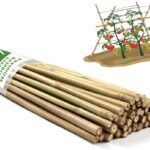 Bamboo Stakes,4.8FT Natural Bamboo Garden Stakes,BOVITRO 20Pcs Bamboo Plant Stakes,Bamboo Sticks for Tomato,Beans,Vegetable and Climbing Plants