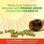 Garden of Life Vitamin D, Vitamin Code Raw D3, Vitamin D 2,000 IU, Raw Whole Food Vitamin D Supplements with Chlorella, Fruit, Veggies & Probiotics for Bone & Immune Health, 60 Vegetarian Capsules - Image 3