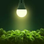 Grow Light Bulbs, Briignite LED Grow Light Bulb A19 Bulb, Full Spectrum Grow Light Bulb, Plant Light Bulbs E26 Base, 11W Grow Bulb 100W Equivalent, Grow Light for Indoor Plants, Seed Starting, 2Pack - Image 2