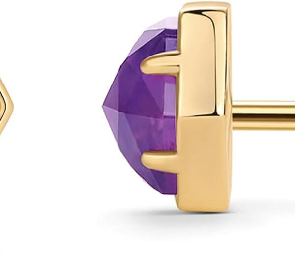 PAVOI 14K Gold Plated Hexagon Gemstone Stud Earrings for Women | Natural Birthstone Earring Pair