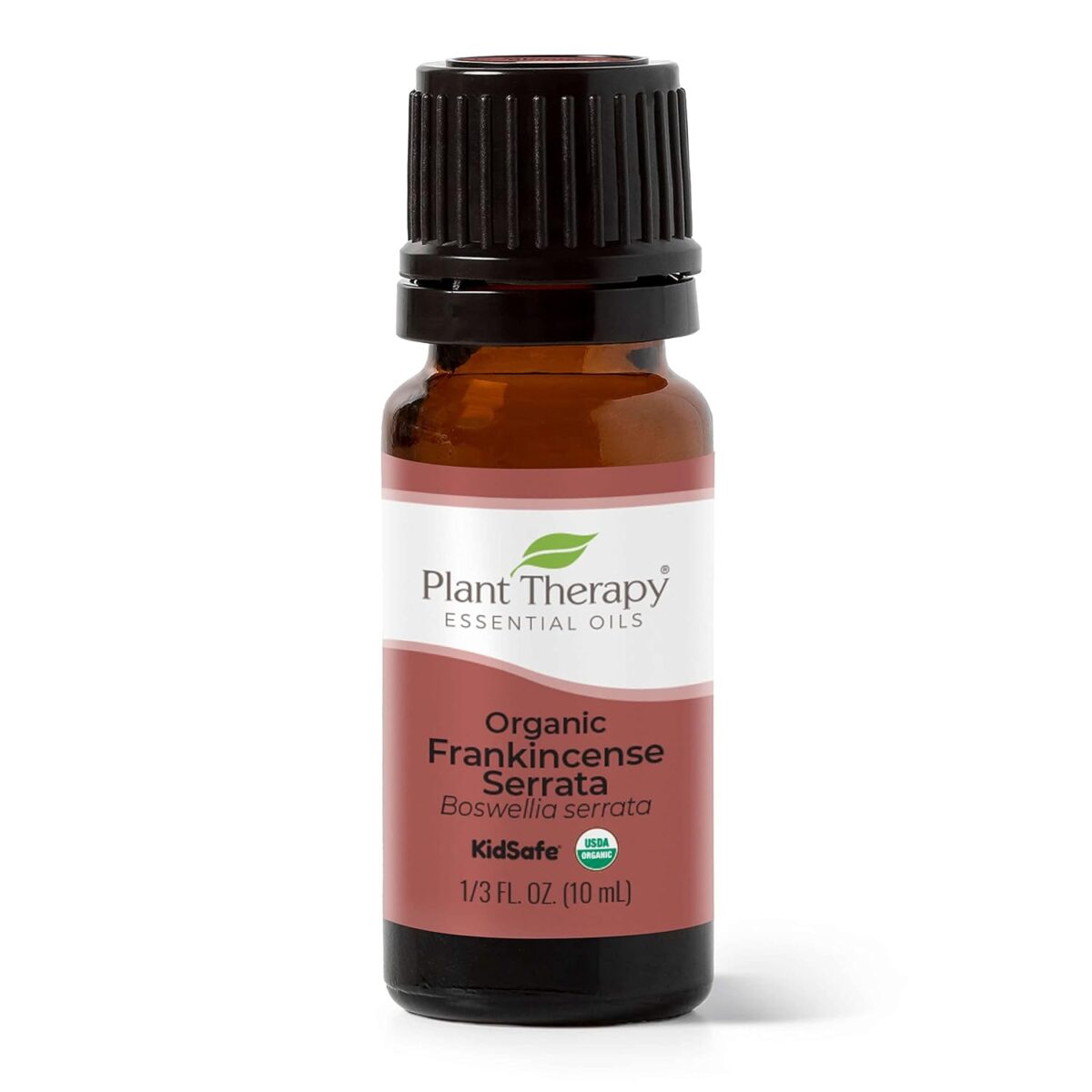 Plant Therapy Organic Frankincense Serrata Essential Oil 100% Pure, USDA Certified Organic, Undiluted, Natural Aromatherapy, Therapeutic Grade 10 mL (1/3 oz) - Image 1