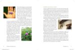 The Modern Herbal Dispensatory: A Medicine-Making Guide - Image 5