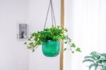 Melphoe 2 Pack Self Watering Hanging Planters Indoor Flower Pots, 6.5 Inch Outdoor Hanging Basket, Plant Hanger with 3Hooks Drainage Holes for Garden Home (Emerald) - Image 5