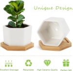OAMCEG 6 Pack 4 Inch Succulent Pots - Small Succulent Planters, Set of 6 White Ceramic Succulent Cactus Plant Pots with Bamboo Tray(Plants NOT Included) - Image 3