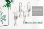 Melphoe 4 Pack Air Plants Holders Stand Air Fern Macrame Plant Hanger Indoor Hanging Planter Basket for Tillandsias Display, Boho Home Decoration Gift Idea - Image 5
