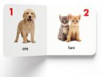 My First Library: Boxset of 10 Board Books for Kids - Image 9