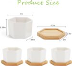 OAMCEG 6 Pack 4 Inch Succulent Pots - Small Succulent Planters, Set of 6 White Ceramic Succulent Cactus Plant Pots with Bamboo Tray(Plants NOT Included) - Image 2