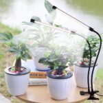 GooingTop LED Grow Light,6000K Full Spectrum Clip Plant Growing Lamp with White Red LEDs for Indoor Plants,5-Level Dimmable,Auto On Off Timing 4 8 12Hrs - Image 4
