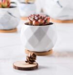 Jucoan 6 Pack Ceramic Succulent Planter Pot with Bamboo Tray, 4 Inches Small White Diamond Shaped Cactus Herb Flowers Planter with Drainage Hole - Image 6