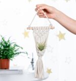 Melphoe 4 Pack Air Plants Holders Stand Air Fern Macrame Plant Hanger Indoor Hanging Planter Basket for Tillandsias Display, Boho Home Decoration Gift Idea - Image 6