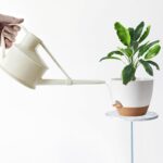 5Pack Self Watering Plant Pots for Lazy People, 7/6.5/6/5.5/5 Inch,White Plastic Self Watering Planter for All Houseplants,Succulent, African Violets,Snake Plants, Flowers and Cactus - Image 8