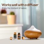 Essential Oils Set -Essential Oils - 100% Natural Essential Oils-Perfect for Diffuser, Humidifier,Aromatherapy, Massage,Skin & Hair Care,30x5 ml(0.17fl.oz - Image 3