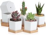 OAMCEG 6 Pack 4 Inch Succulent Pots - Small Succulent Planters, Set of 6 White Ceramic Succulent Cactus Plant Pots with Bamboo Tray(Plants NOT Included)