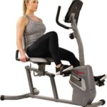 Sunny Health & Fitness Magnetic Recumbent Bike Exercise Bike with Easy Adjustable Seat, Device Holder, RPM and Pulse Rate Monitoring - SF-RB4806, Grey