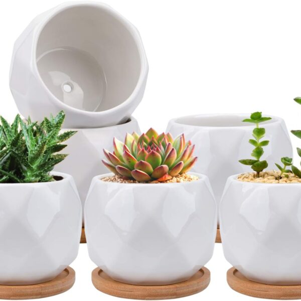 Jucoan 6 Pack Ceramic Succulent Planter Pot with Bamboo Tray, 4 Inches Small White Diamond Shaped Cactus Herb Flowers Planter with Drainage Hole