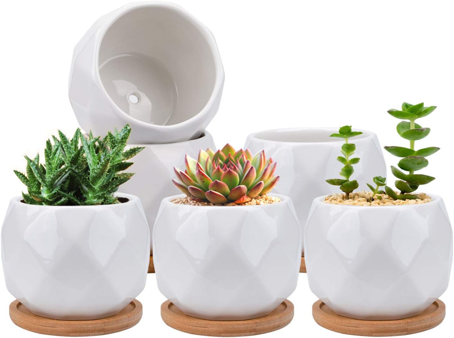 61ubQuv0B3L._AC_SL1500_.jpg Jucoan 6 Pack Ceramic Succulent Planter Pot with Bamboo Tray, 4 Inches Small White Diamond Shaped Cactus Herb Flowers Planter with Drainage Hole - Image 1