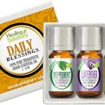 Healing Solutions - Blessing Set Essential Oil Kit (3x10ml) Variety Pack for Aromatherapy Diffusers Daily (Lavender Lemon Peppermint) - Lemon Lavender and Mint Essential Oil - Aromatherapy Oils