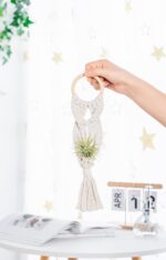Melphoe 4 Pack Air Plants Holders Stand Air Fern Macrame Plant Hanger Indoor Hanging Planter Basket for Tillandsias Display, Boho Home Decoration Gift Idea - Image 2