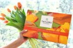 Taylors of Harrogate Green Tea & Herbal Infusions Variety Box, 48 Count - Image 6