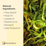 Ylang Ylang + Ginger Massage Oil for Massage Therapy and Manipulation Therapy | Collagen and Stem Cell Anti Cellulite Body Oil for Lymphatic Massage and Sore Muscles Skincare by M3 Naturals - Image 4