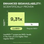 NMN Supplement Alternative - Liposomal NAD w/Resveratrol - High Purity NAD Supplement for Anti-Aging, Energy, Focus - Image 3
