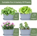 Windowsill Herb Garden Planter with Tray, Set of 6 Grey Oval Farmhouse Garden Pots for Indoor/Outdoor Plants (No Seeds) - Image 4