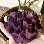 Natural Crystal Amethyst Cluster, Amethyst Crystal Rock, Large Natural Amethyst Crystal Clusters Stone, Raw Amethyst Stone, Natural Amethyst Geode Cave Healing Crystal Stones(200-300g) - Image 7