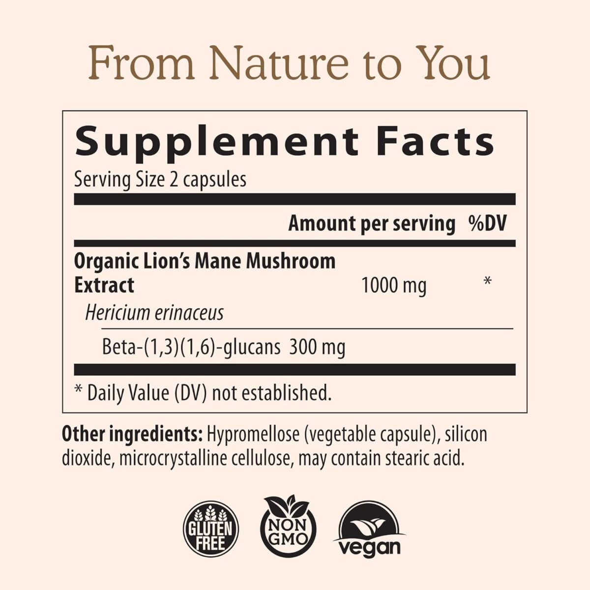 Lions Mane Mushroom Cognition Capsules (120 Capsules) Lions Mane Mushroom Powder Extract Capsules | Brain Supplement, Brain Vitamins, Focus Supplement - Image 6