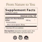 Lions Mane Mushroom Cognition Capsules (120 Capsules) Lions Mane Mushroom Powder Extract Capsules | Brain Supplement, Brain Vitamins, Focus Supplement - Image 6