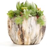 SE SUN-E Sun-E Modern Style Marbling Ceramic Flower Pot Succulent/Cactus Planter Pots Container Bonsai Planters with Hole 3.35 Inch Gift Idea(4 in Set) Plants Not Included - Image 5